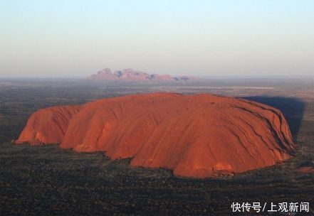 哈里森|好书·新书