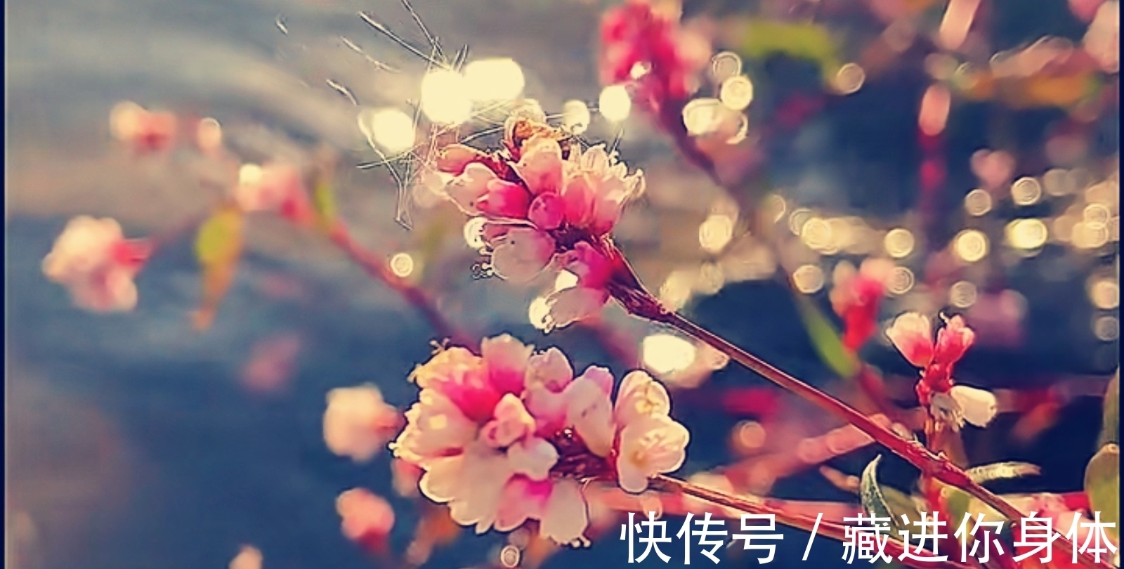 尾句$姜夔写在元宵节的两首《鹧鸪天》:从此不相见,一生在想念