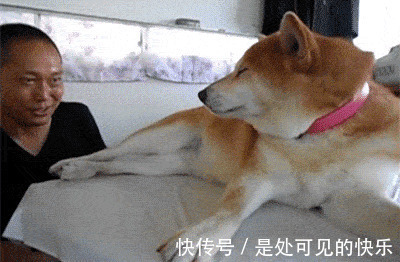 |搞笑GIF趣图:劈叉我见多了,但是这样的真没见过