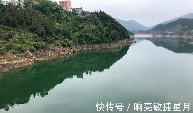 捕食|钓鲫鱼用什么饵料好分清这几点不空军！