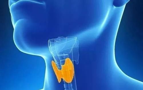 甘蓝|甲状腺专家李雄主任提醒甲状腺结节患者:别再吃这4种常见蔬菜,让病情加重