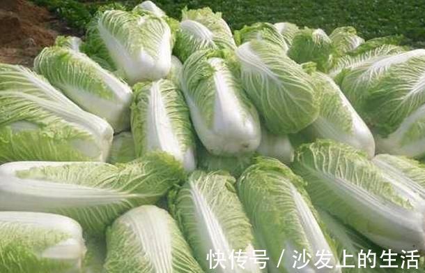 长寿秘诀|冬天必吃的4种蔬菜,老中医的长寿秘诀,胜过一堆“补药”