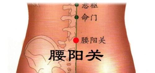 按摩|中医补肾的“穴位”都在这里了，每天按摩两分钟，强肾健体