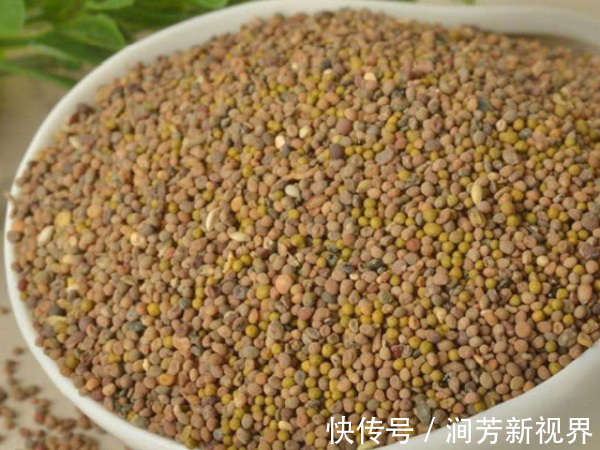 肾强精神棒|这4物泡水喝,牛鞭也比不了,男人每天喝1口,肾强精神棒!