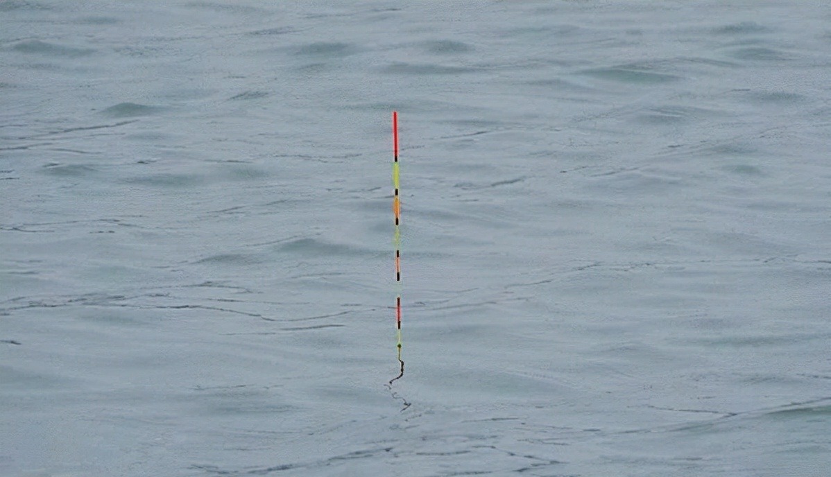 新手钓鱼想要好鱼获,得先了解这四个入门的基础常识