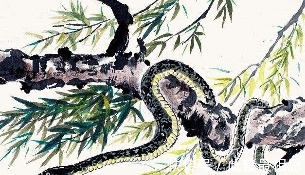 求财|9月7号开始,求财顺利,好事上门,生活水平开始显著提升的3属相