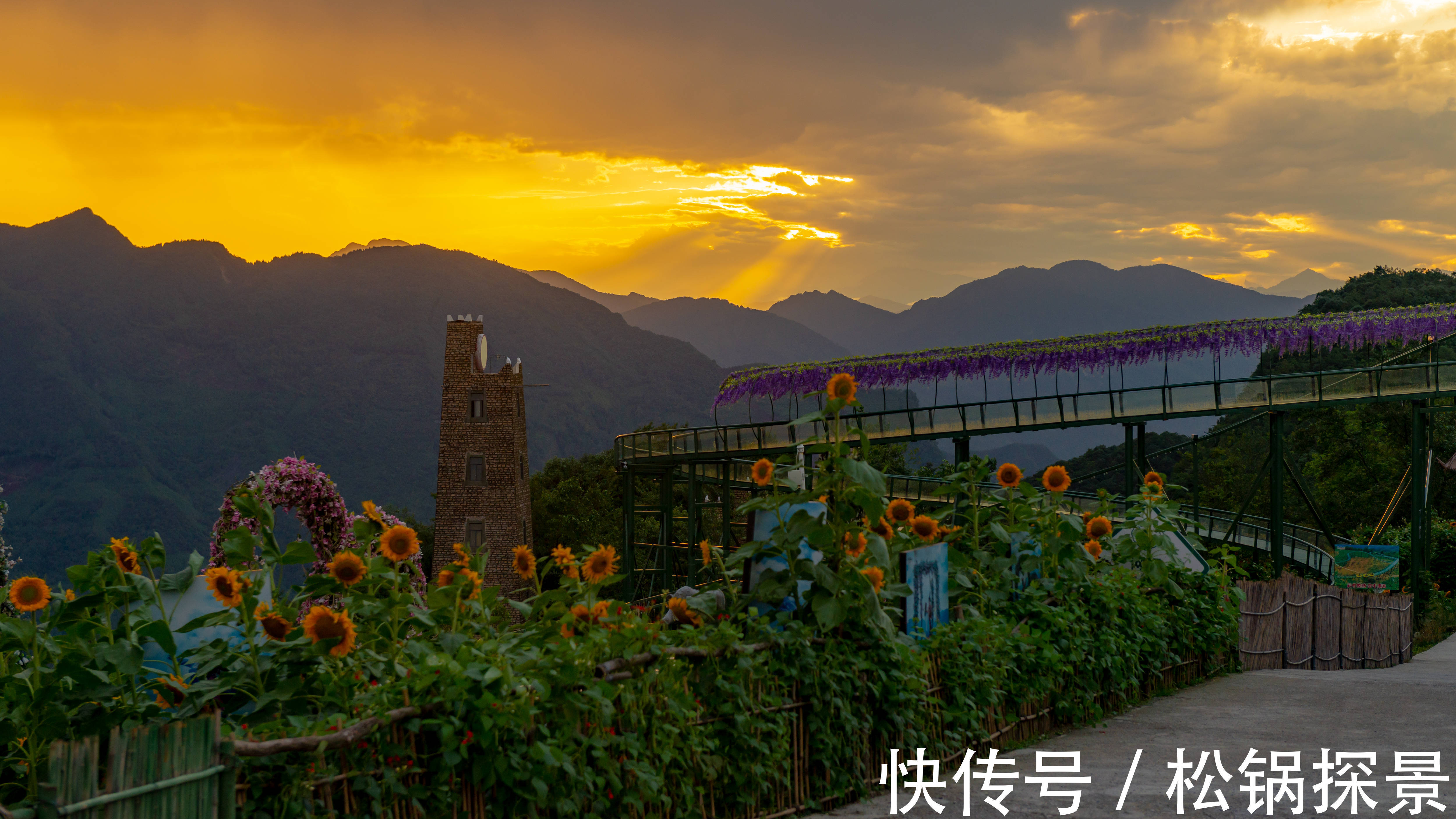 星空|这个七夕，就去九皇山赴一场浪漫凉爽的约会吧！