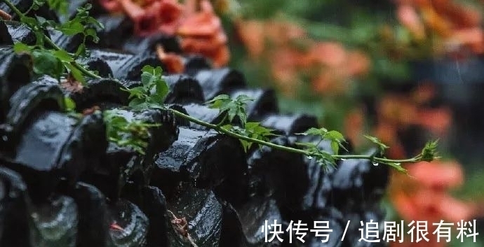 暮色&秋雨落，听雨声，伤了谁的心，落下谁的泪，成了谁笔下的泪痕？