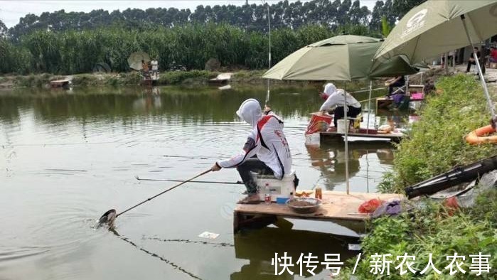 钓了3条鱼要求赔偿五万元,江西3名男子摊上事了,双方都应该反思