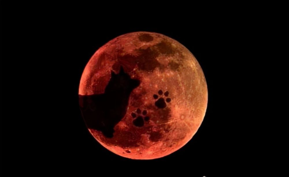 玉藻前|日本三大妖怪战力排行