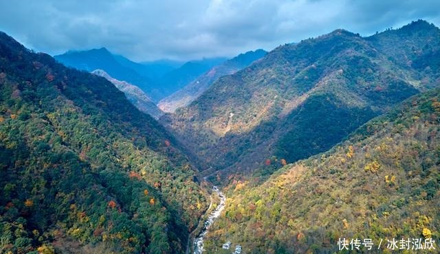 秘境|媲美光雾山！平武这条沟，藏着一个惊艳的彩林秘境！