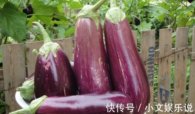 木耳|孕妇最好少碰,这四种蔬菜,会“伤害”胎儿健康