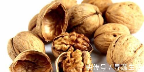 养花|光买便利的“营养土”养花,不行,盆底垫这些小东西才能不烂根