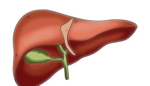 无论男女，肝脏如果生病了，身体会有明显的症状提醒，别一味忽视