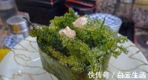 长茎葡萄蕨藻|西餐的桌子上放的“小葡萄”能吃吗若放着不吃,会遭服务员嘲笑