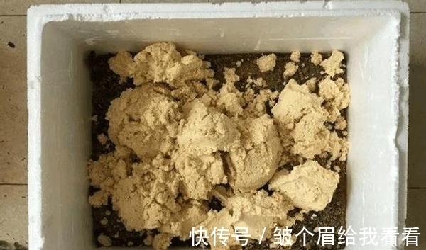 扔掉泡沫箱会污染环境?不如就拿来养花,实用、省钱、用途多