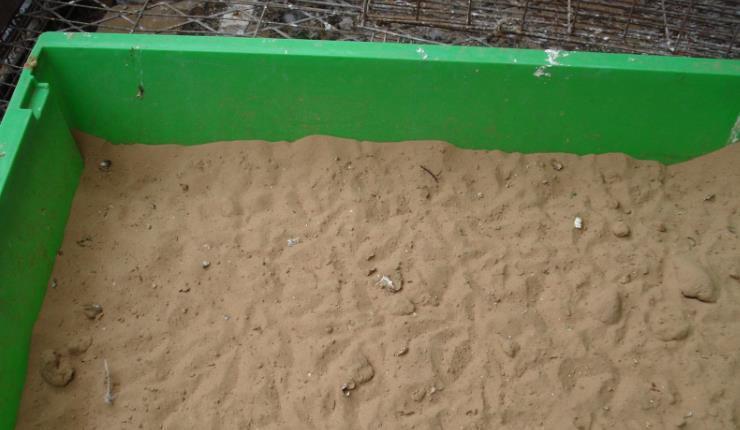 养花土不够透气,用上处理好的松针、河沙,养啥花根都长得壮