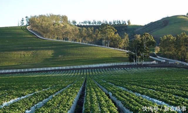 父母|清华女博士毕业后隐居深山，靠种田11年赚800万，同学已认不出