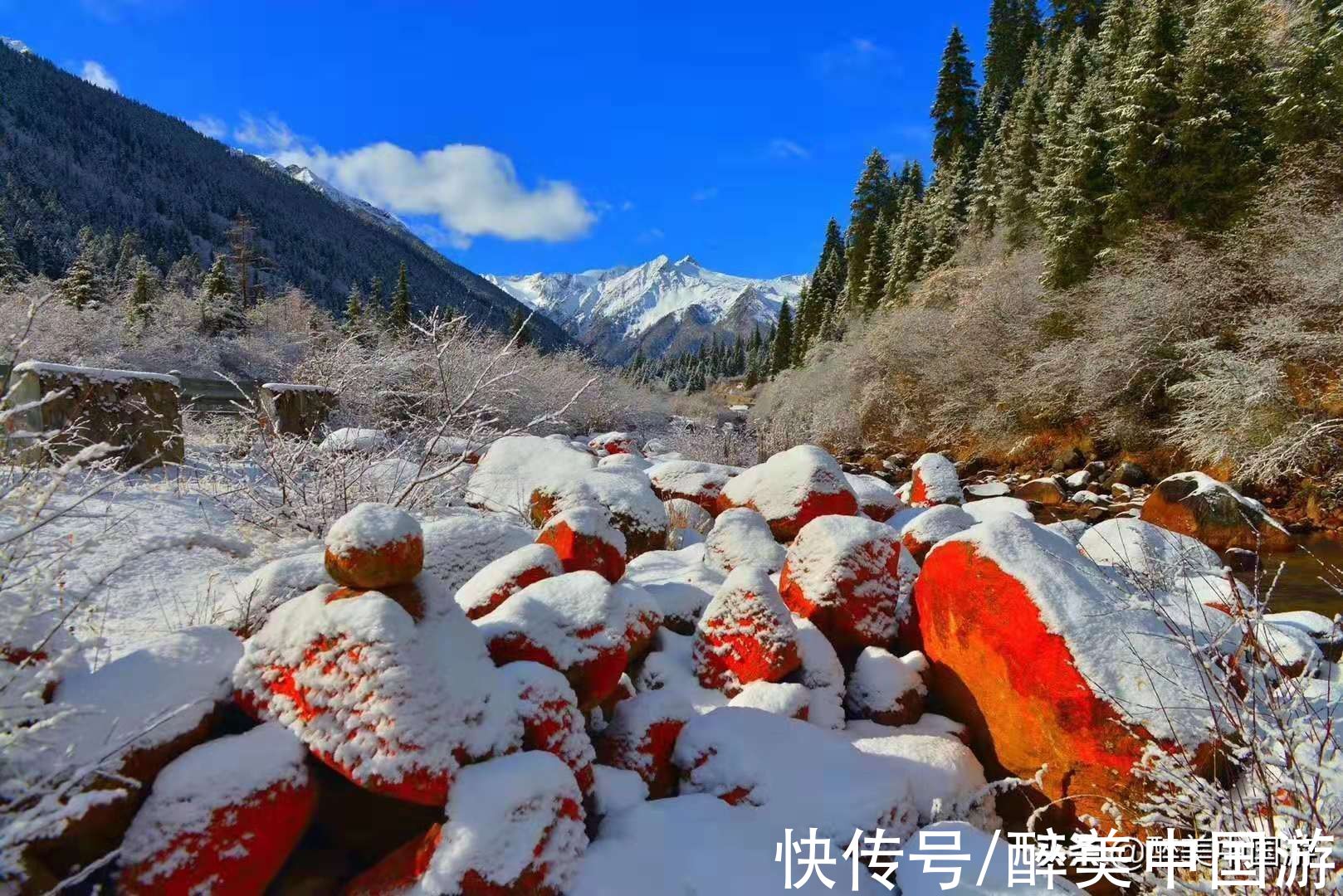 藏酋猴|走进达古冰川风景区，亲临冰川，融入冰雪世界