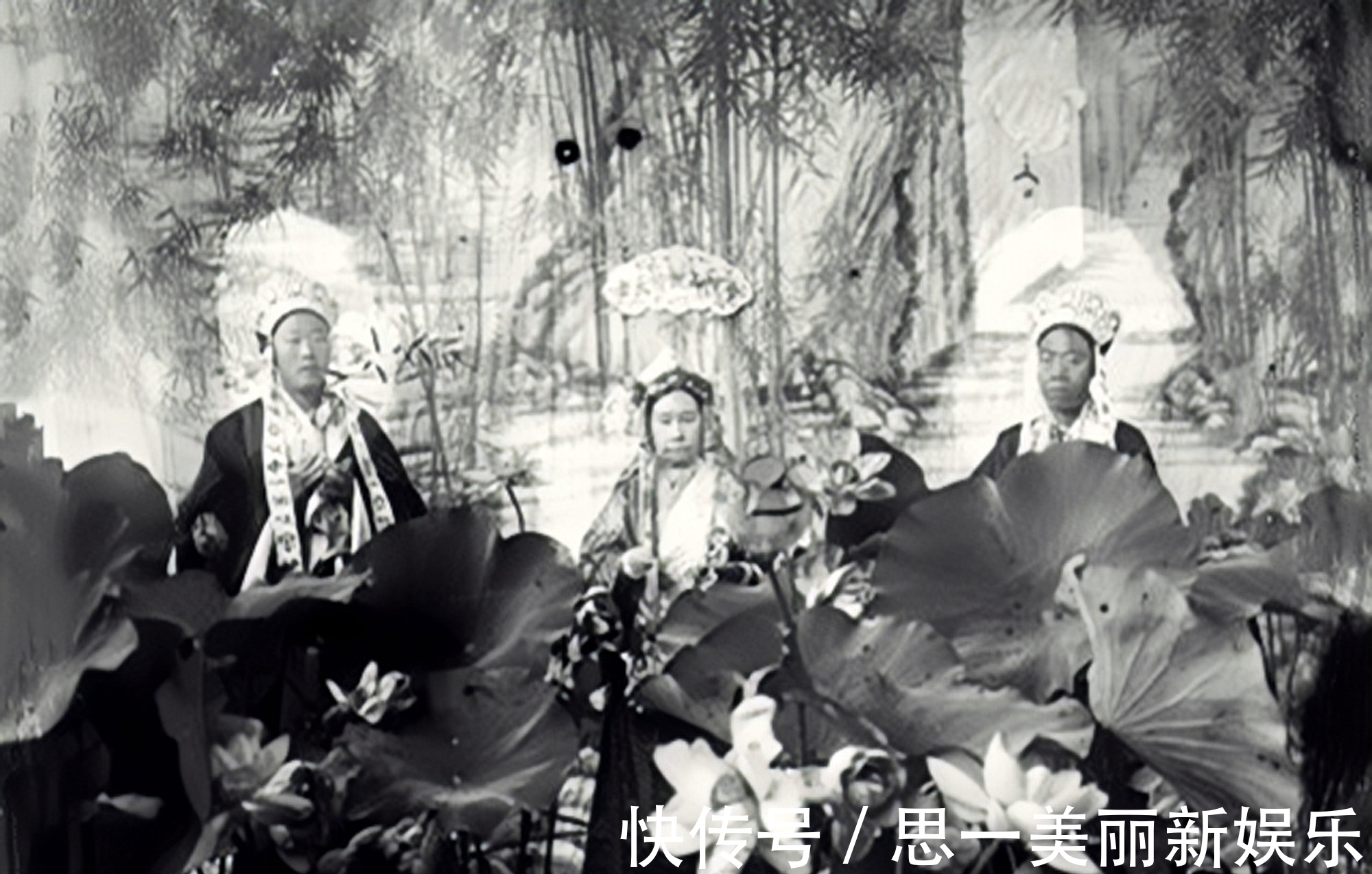 合影|罕见名人合影,图6年轻的郎平被领导接见,图3邓丽君和外籍小男友
