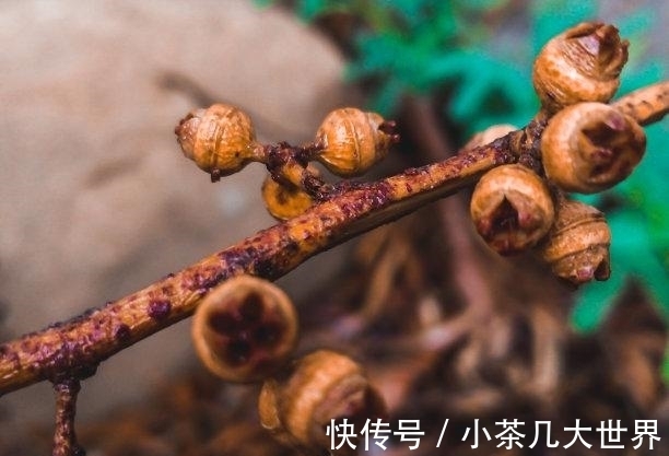 前任|11月末，兜兜转转，爱意未消，邂逅前任，主动求和，携手恩爱一生