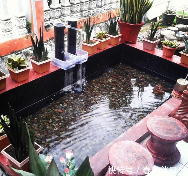 鱼池|若是我家带院子，不会用来种菜，一定要弄个喷泉玻璃鱼池，多亮眼