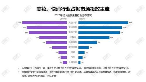 WEIQ：2020年度红人营销白皮书