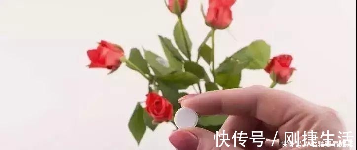 养花|家里“过期”小药片,养花是个宝,丢在盆里,比生根水还管用!