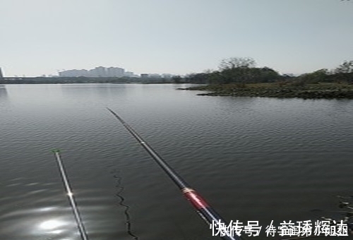 初春为什么自然水域的鲫鱼会浮头难钓老钓友教你三招上鱼技巧