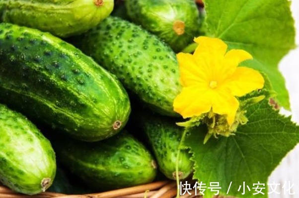 辨别黄瓜有没有打激素,只需看准这里,购买时便能一目了然