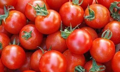抗癌|西红柿是”抗癌明星“，坚持吃不易出现癌症，但两种吃法却不可取