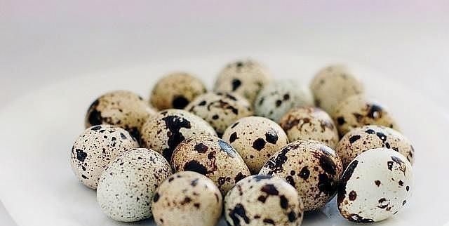 含有|怀孕阶段,孕妈一次吃几个鹌鹑蛋好关于吃鹌鹑蛋的好处,别忽视