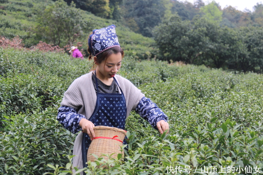 不负春色 | “春茶繁花” 私藏春季献礼|杭州天域开元观堂 | a8338