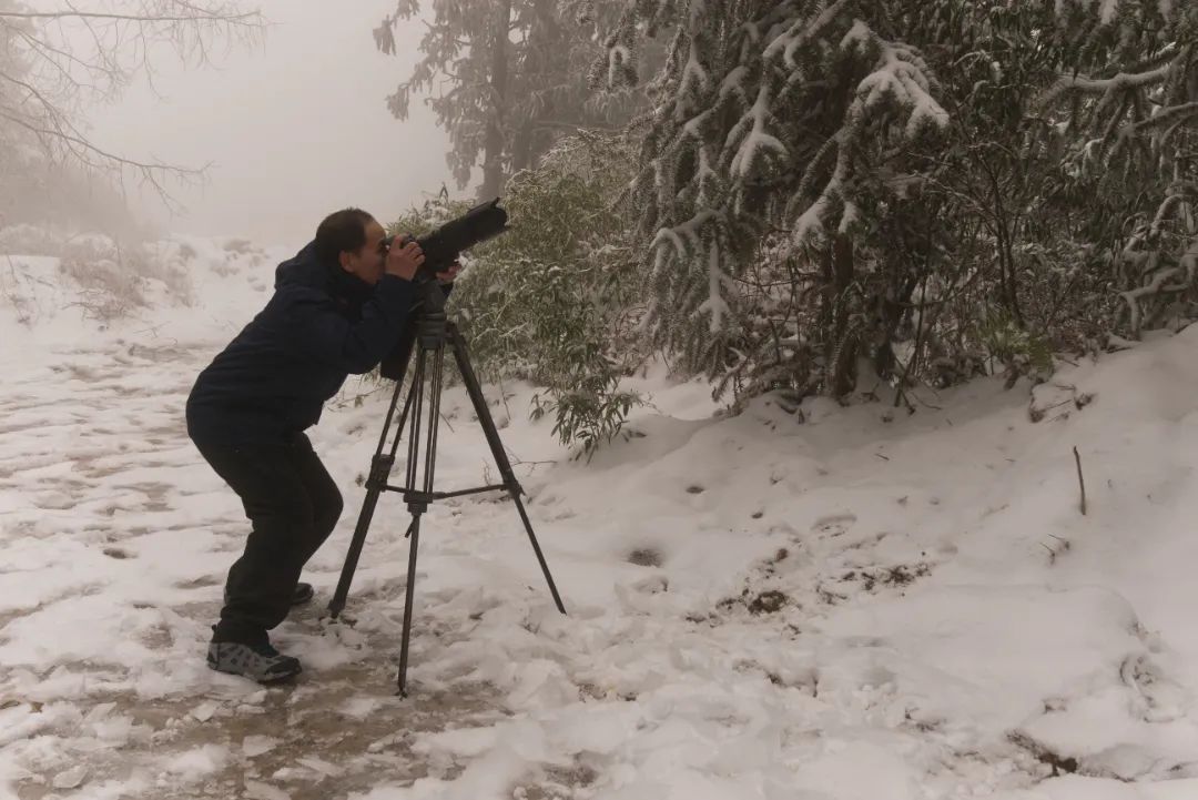 国家公园|难得一见！百山祖国家公园“雪融融”引来众多摄制组！