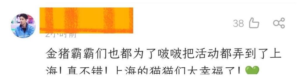 王一博活动惊喜出场，黑粉吐槽“足不出沪”，粉丝别样解读