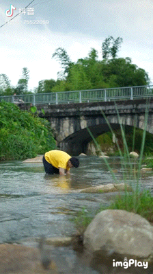 前有李子柒，后有閑不住的阿俊