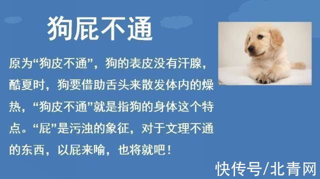 误传$每日辟谣|9个被误传了几千年的俗语,你传了吗?