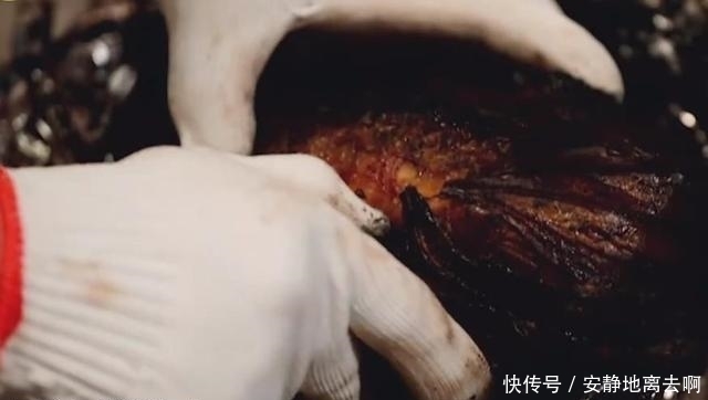 《向往的生活》蘑菇屋条件艰苦?节目组真的没有必要太刻意去设计