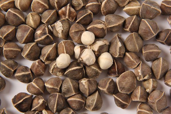 辣木籽|长期睡眠不足对身体伤害很大，多吃4种食物缓解失眠，倒头就睡