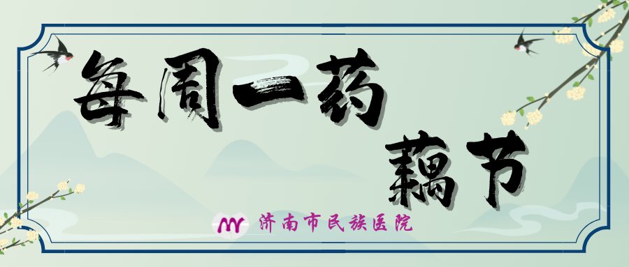 孝宗|【每周一药】济南市民族医院带您了解“藕节”