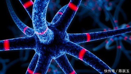  老年痴呆最准测试：如果能在1分钟内找到猫头鹰，大脑还健康的很