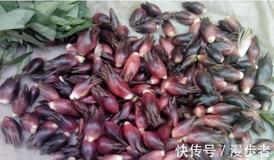外形|外形像“姜”，其实是名贵的“山珍”，如今逐渐大众化