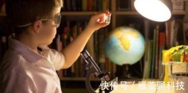 记忆力|孩子聪不聪明,从这4个地方就能看得清清楚楚