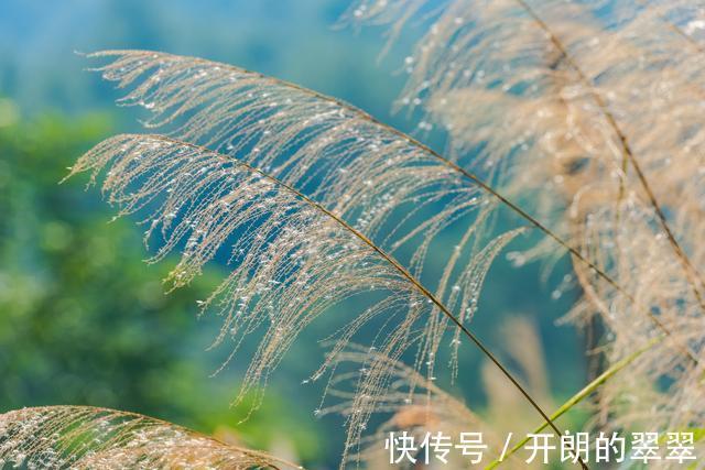 垦殖场|大茅山，这世界那么多人，你是贴切的水