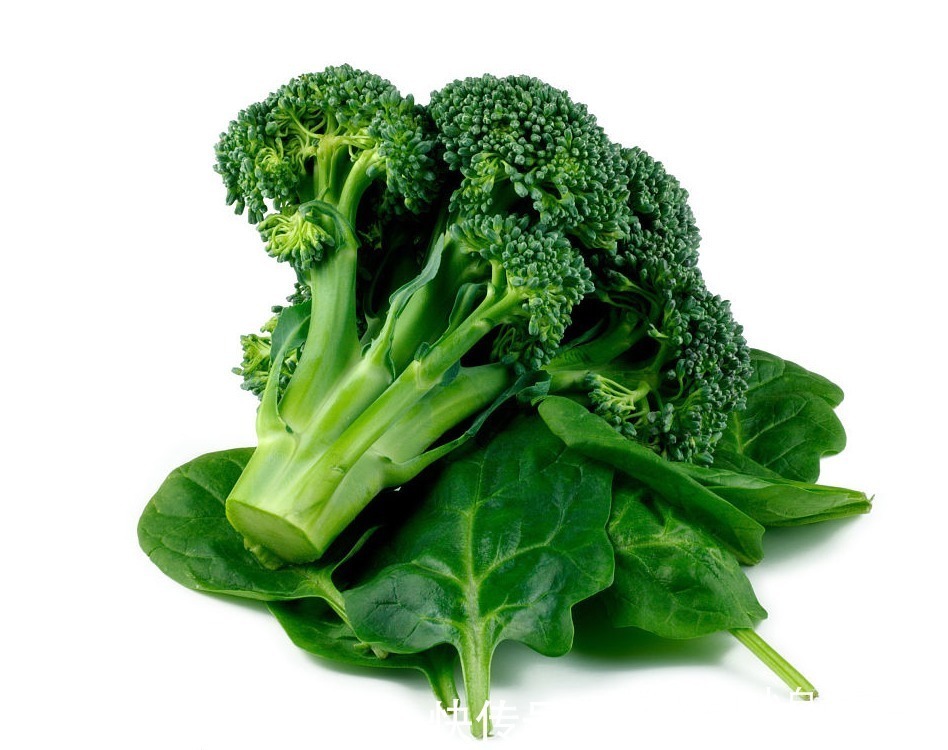 西兰花|忠告炒西兰花不能放此物,吃了生病也是自找,看完告诉身边人!