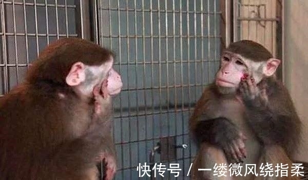 哲学!“我思故我在”真的是错的吗?为什么笛卡尔会遭到康德的反驳?