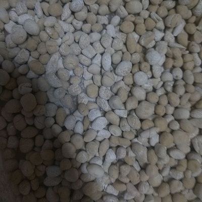 茶叶|制制珍珠奶茶