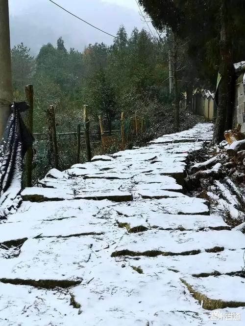 皑皑南正顶，雾凇更撩人！期待下次的大雪!