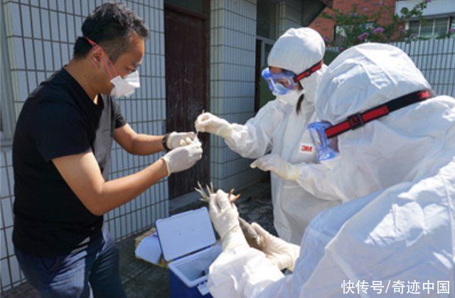 真香!外媒刚嘲讽完中国肛拭子检测，西方就“借鉴”上了