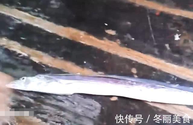 捕捞|原来带鱼是这样捕捞的,难怪每一条都“掉漆”了,真是长见识了
